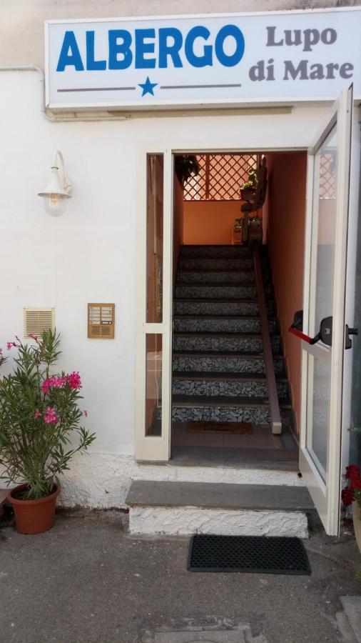 Hotel Lupo Di Mare Marina di Castagneto Carducci Exterior foto